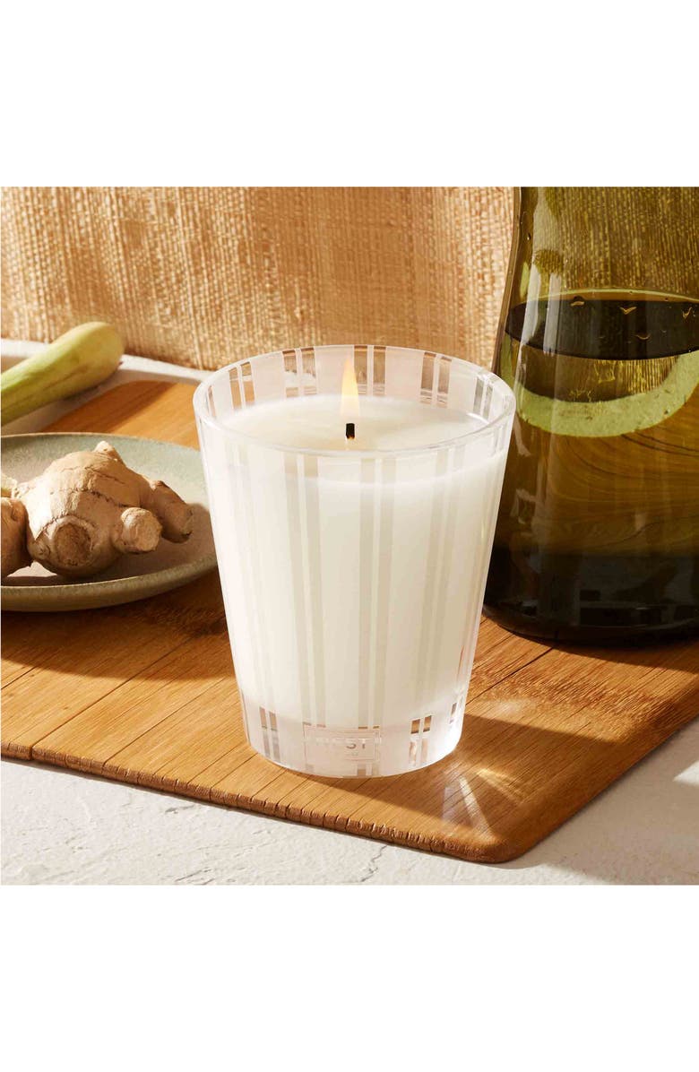 NEST New York Lemongrass & Ginger Classic Candle, Alternate, color, 