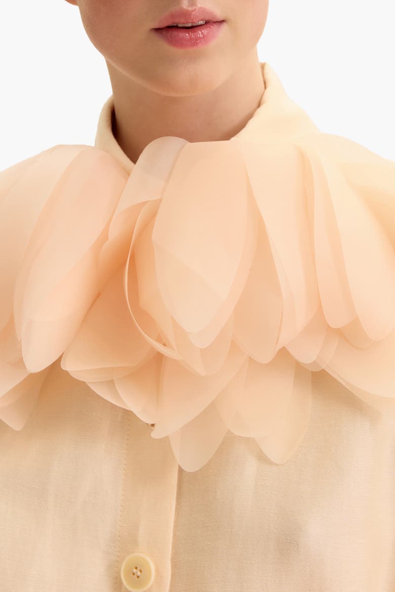 Drawstring-Waist Floral-Applique Blouse, Alternate, color, Light Apricot