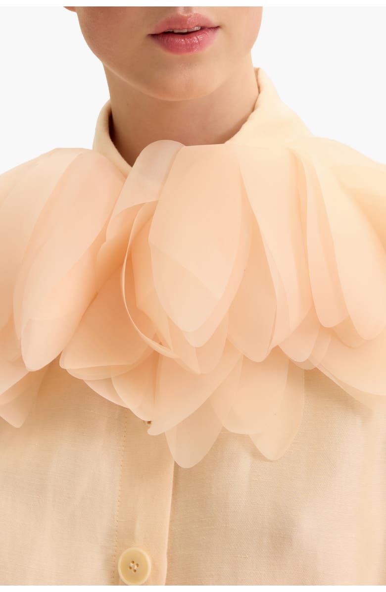 Malva Florea Drawstring-Waist Floral-Appliqu Blouse, Alternate, color, Light Apricot