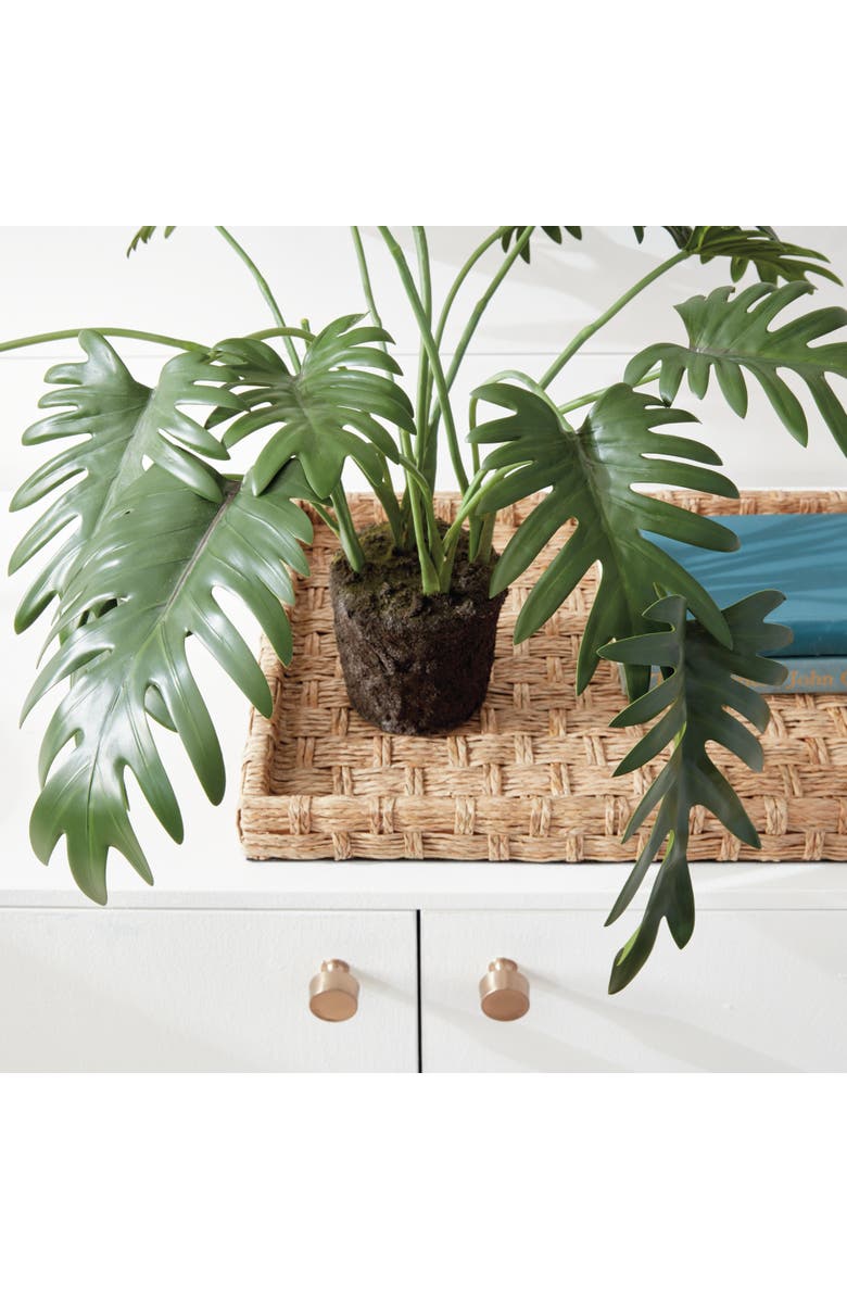 Napa Home & Garden Split Leaf Selloum Drop-In 22.5", Alternate, color, Green