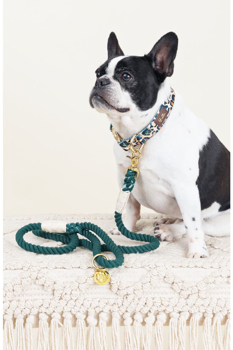Sam Rope Dog Leash, Alternate, color, Sam 6ft