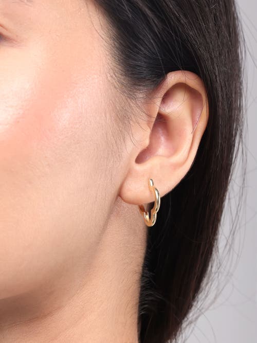 Devata Clover Hoop Earrings In Gold
