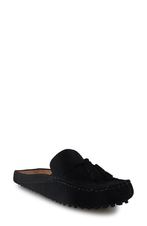 National Comfort Tal Tassel Mule In Black Suede