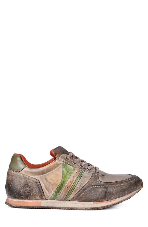 Shop Roan Alatar Sneaker