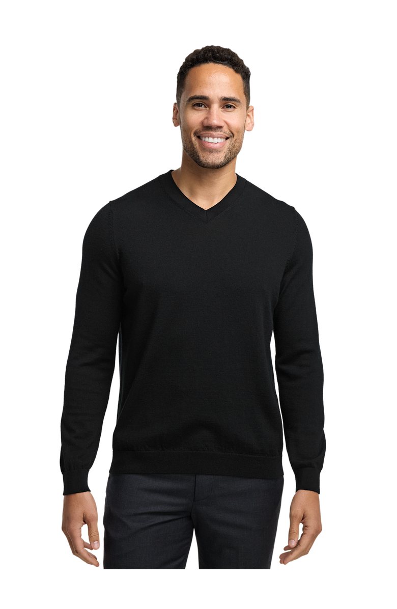 Paul Fredrick Washable Merino Wool V-neck Sweater, Alternate, color, Black