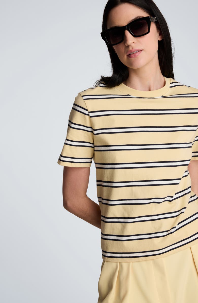 Kenneth Cole Stripe Heavyweight T-Shirt, Alternate, color, Pastel Yellow Multi