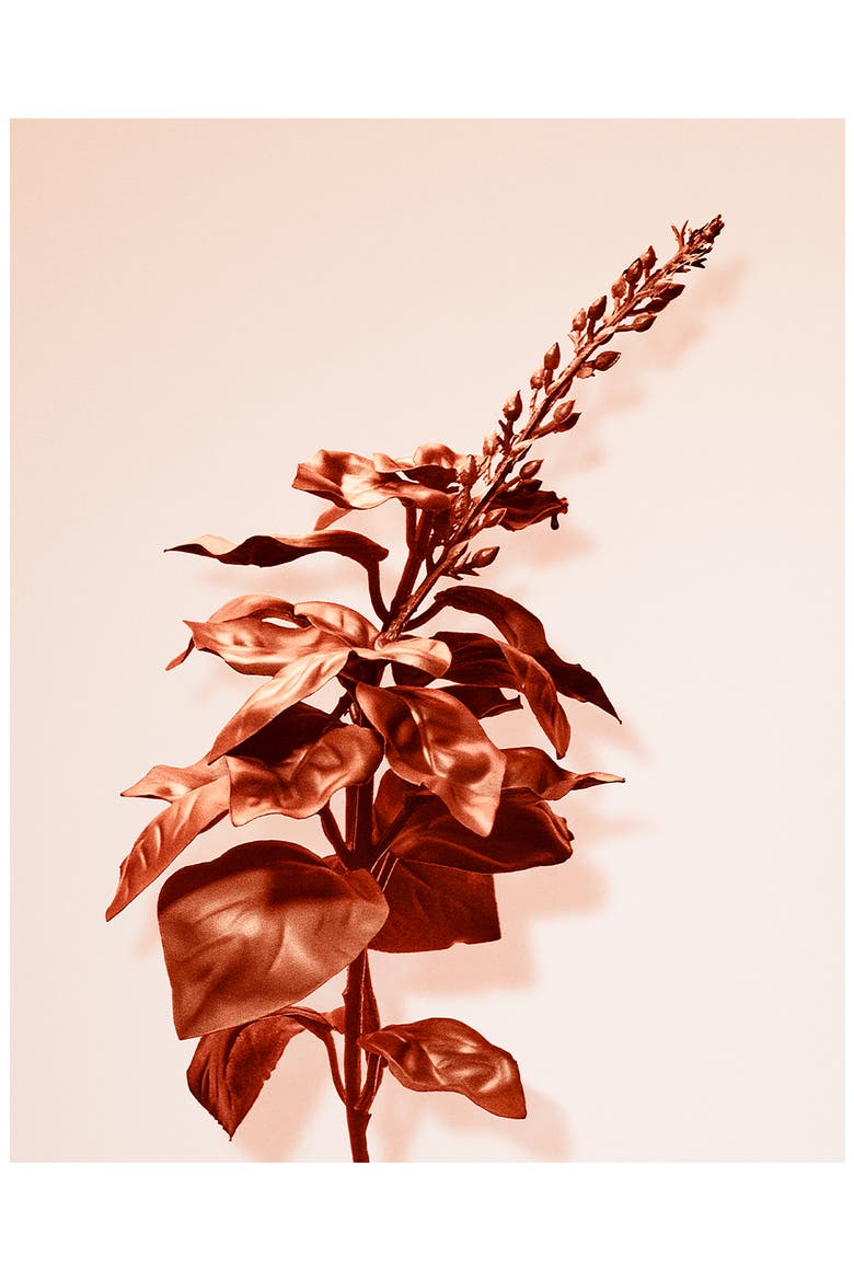 Rose Gold Intense Eau de Parfum, Alternate, color, NO COLOR