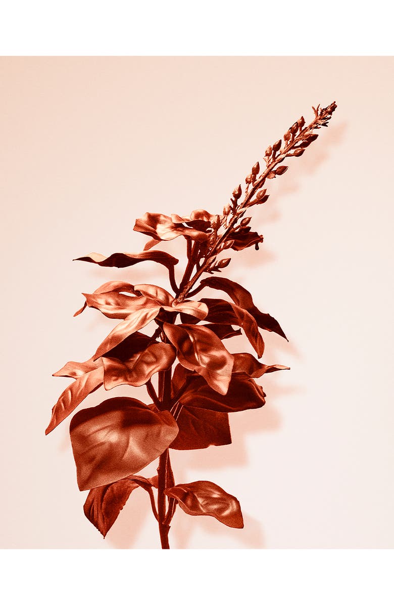 Tiffany & Co. Rose Gold Intense Eau de Parfum, Alternate, color,