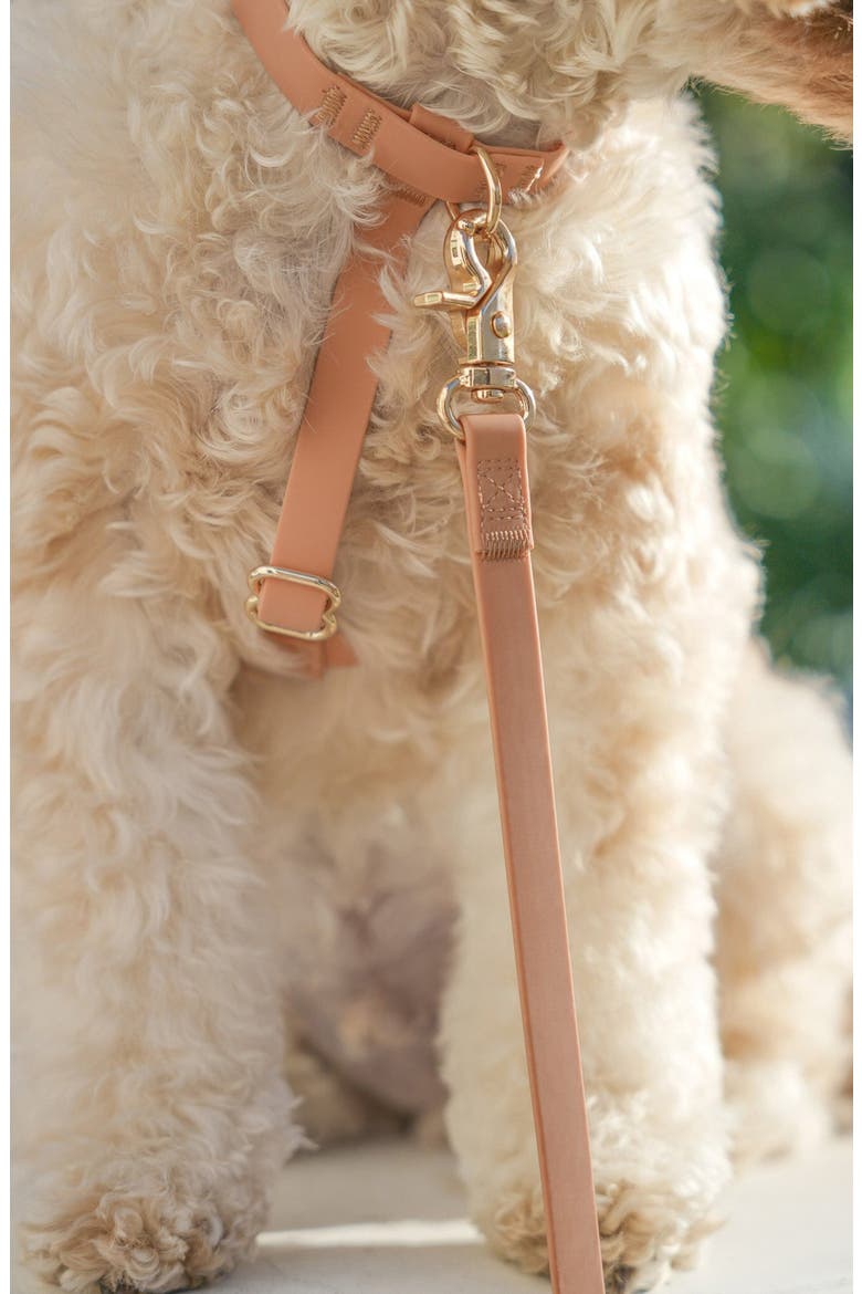 Cloud Lite Waterproof Dog Harness, Alternate, color, CHAI BROWN