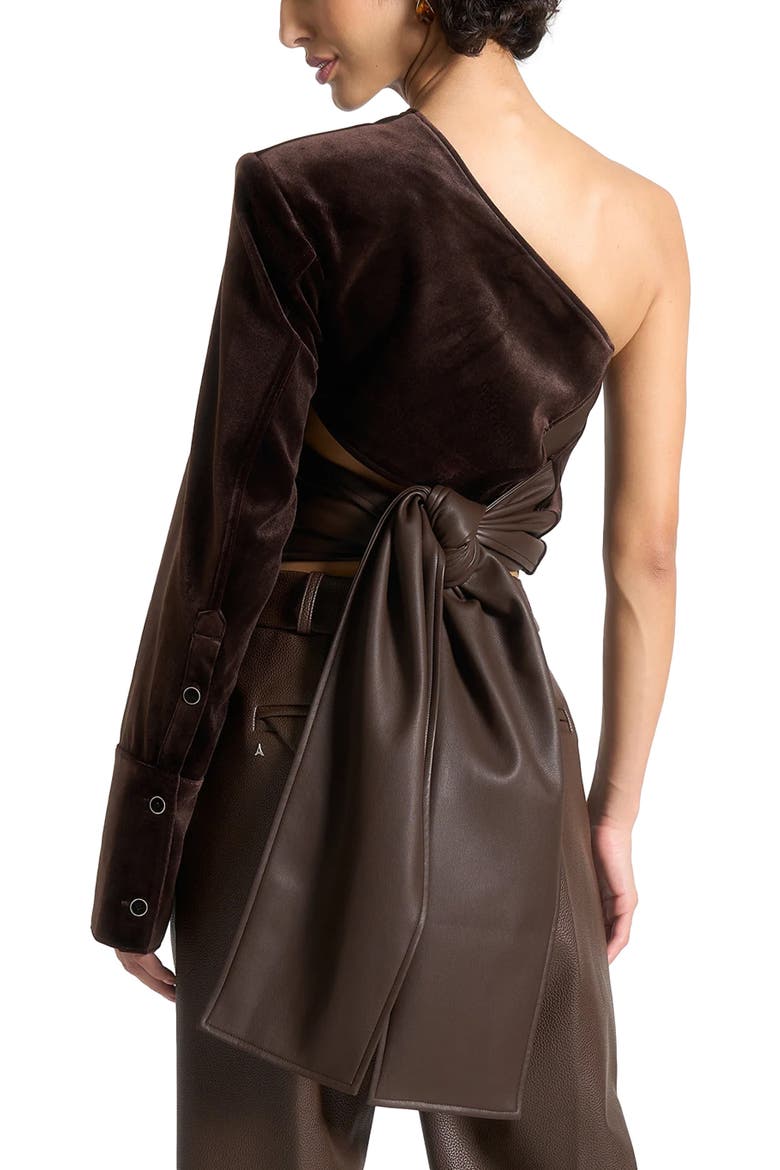Coralie One Sleeve Velour Wrap Top, Alternate, color, Brown
