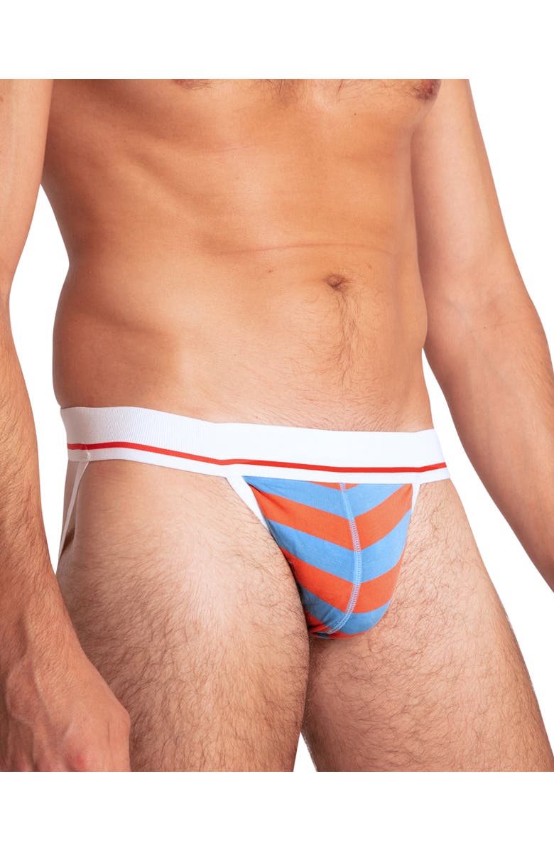 Mosmann Australia Men's Jockstrap, Alternate, color, Multi