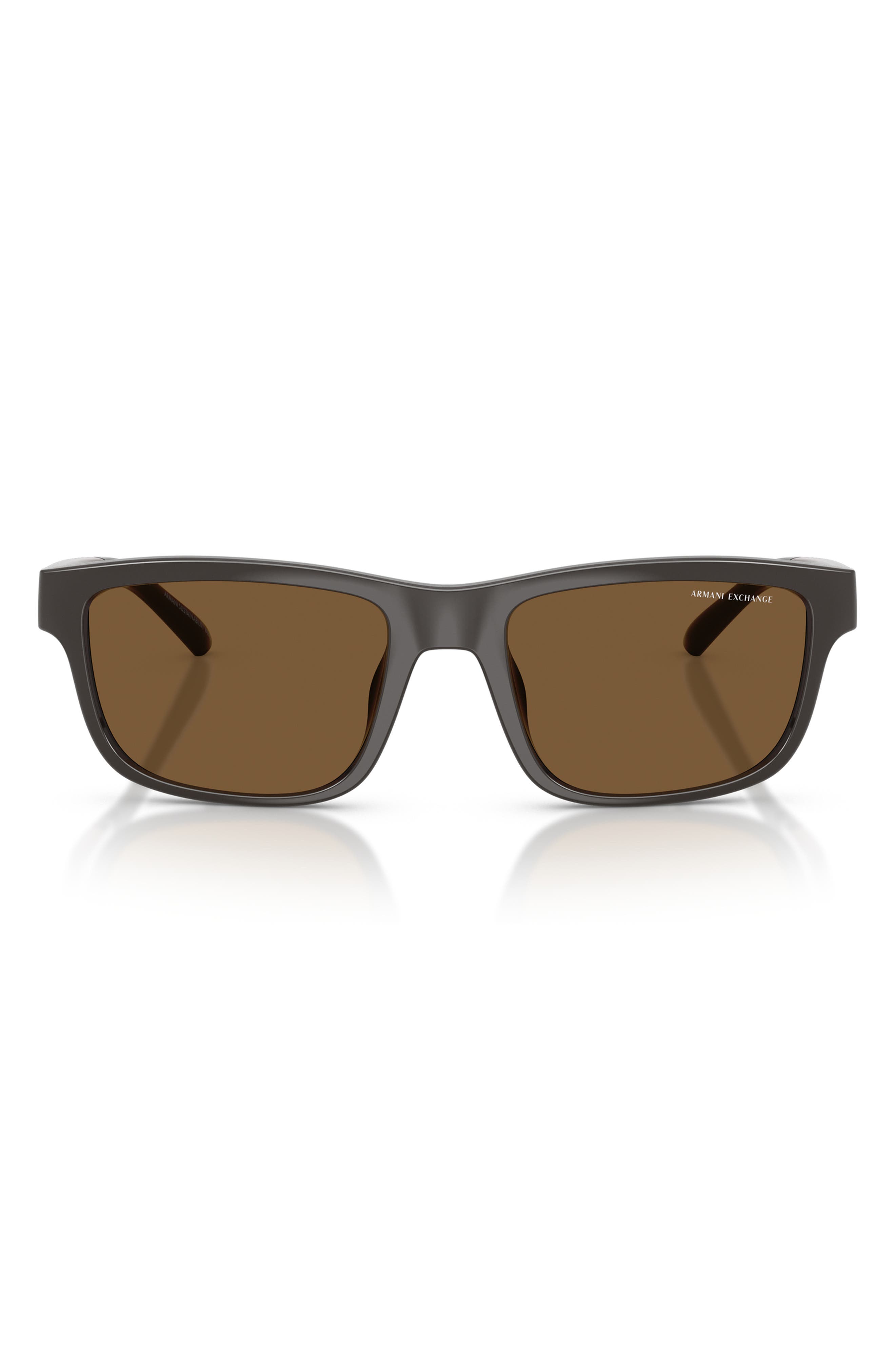SHINY BROWN / BROWN