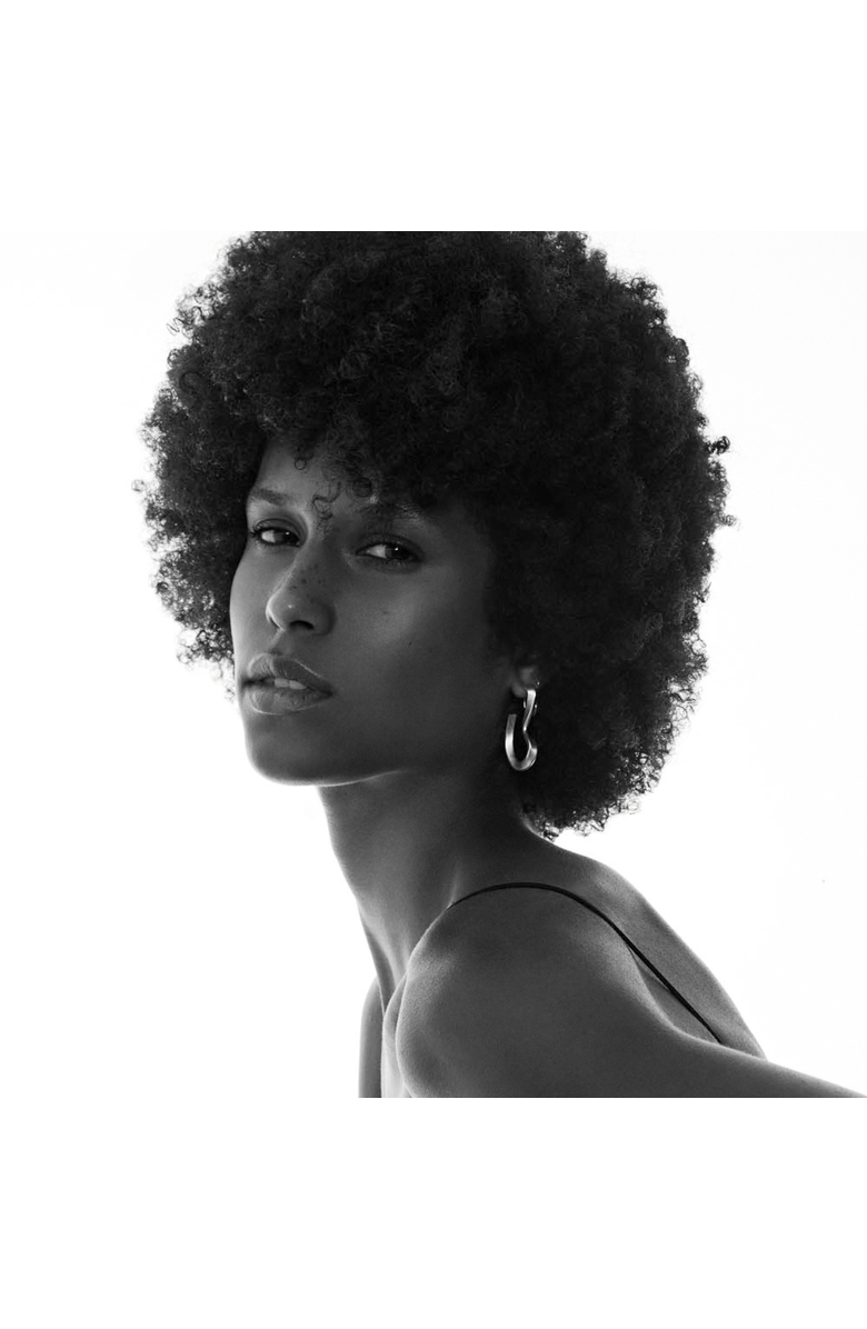 Nabs And Babs Sahab Hoop Earrings, Alternate, color, Silver