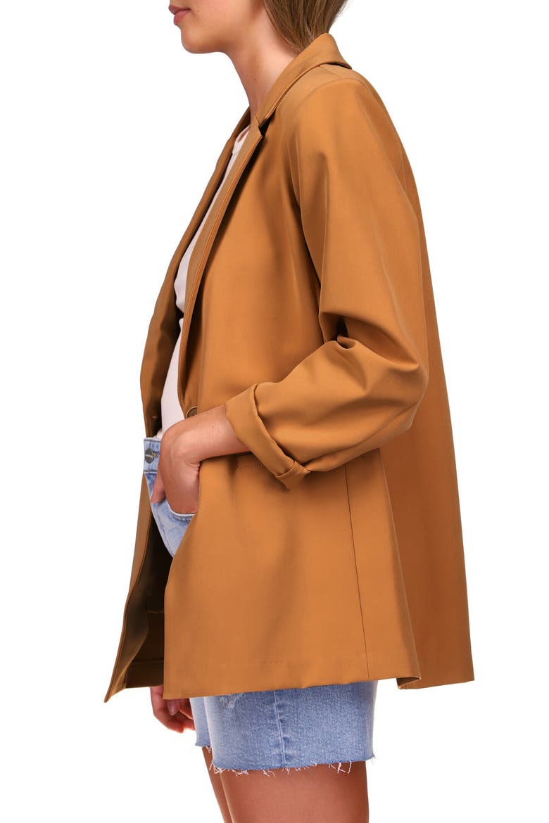Bryce Woven Blazer, Alternate, color, LION