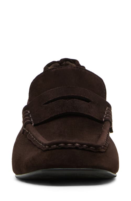 Steve Madden Estee Loafer In Brown