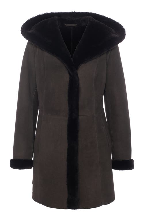Gorski Merino Shearling Hooded Coat In Brown