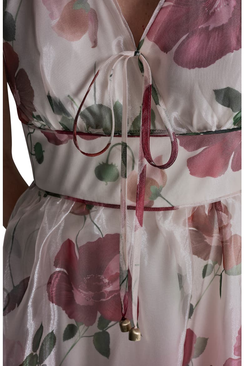 Floral Cap Sleeve Organza Fit & Flare Midi Dress, Alternate, color, ECRU MULTI