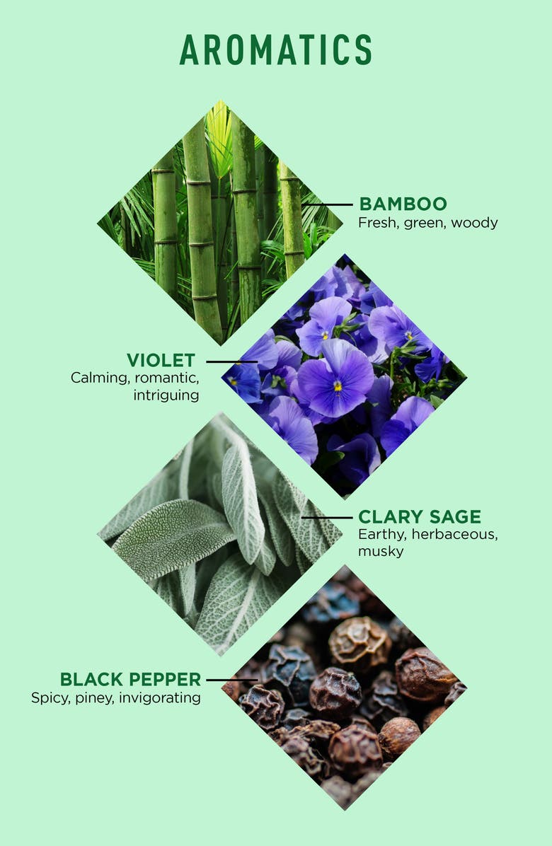 Jack Black JackZen<sup>™</sup> Renewing Body Lotion, Alternate, color, 