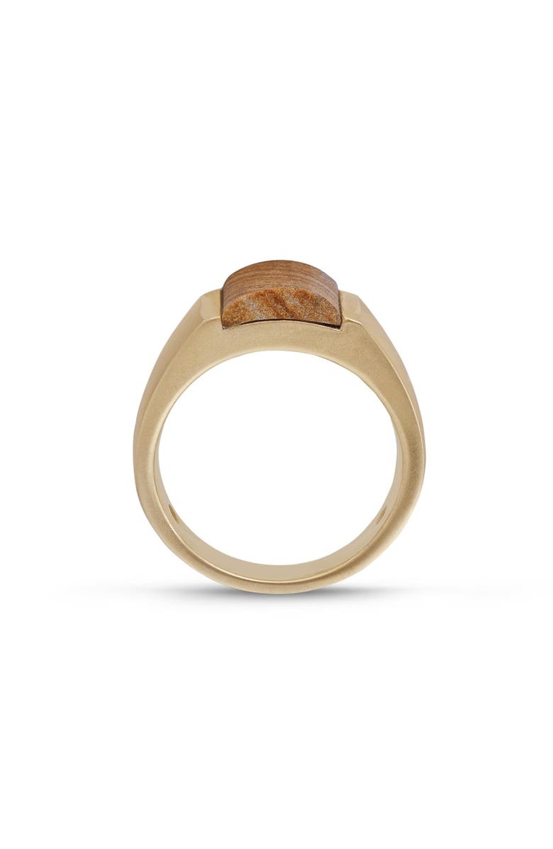 LuvMyJewelry Wood Jasper Sterling Silver Men Signet Ring, Alternate, color, 14Kt Gold Vermeil On Sterling