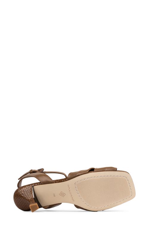 Donald Pliner Gideon Ankle Strap Sandal In Brown