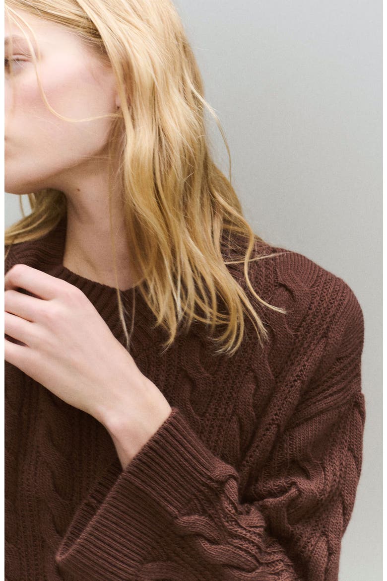 Cable V-Neck Sweater, Alternate, color, BROWN