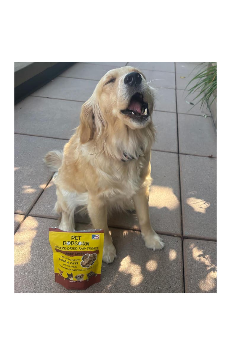 Pet Popcorn Freeze Dried Raw Treats, Beef Liver, 2.5oz Bag, Dog & Cat Snacks, Alternate, color, Multicolored