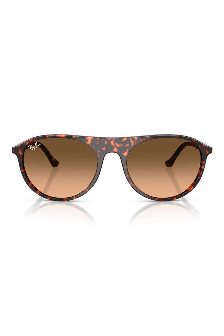 56mm Round Sunglasses, Main, color, RED HAVANA