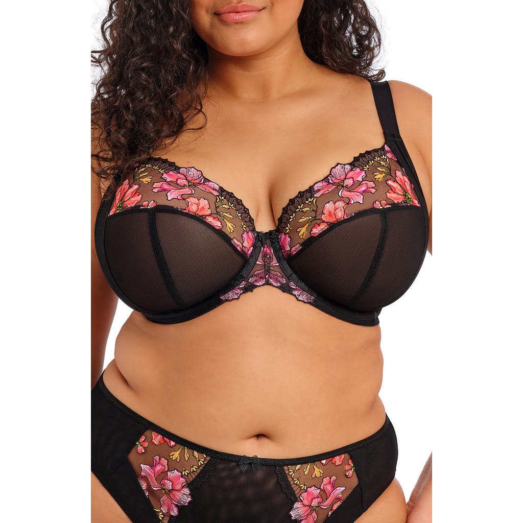 Elomi Teagan Full Figure Underwire Plunge Bra In Black