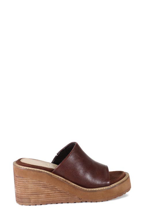 Diba True Cloud Fall Wedge Sandal In Brown