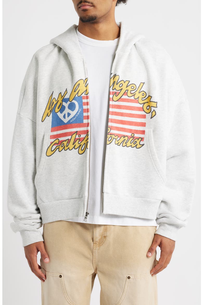 Flag Graphic Zip Hoodie, Main, color, ASH GREY