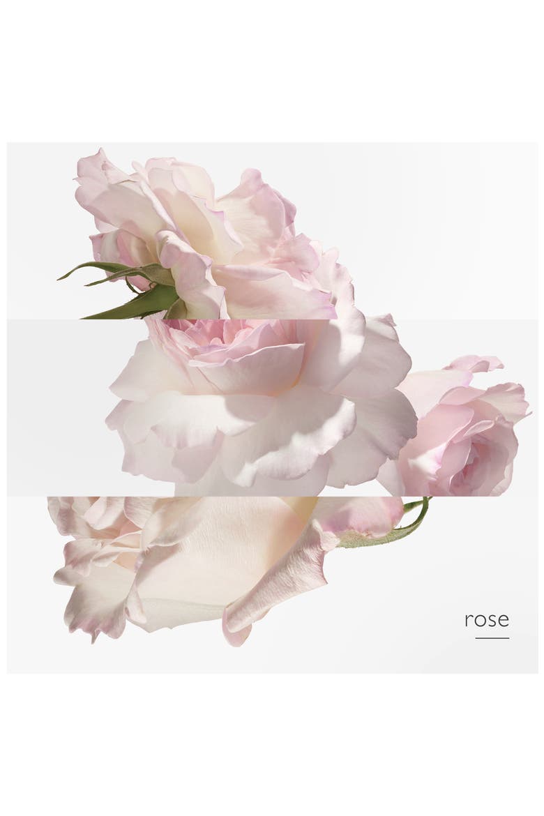 Eau de pamplemousse rose - Eau de toilette, Alternate, color, NO COLOR