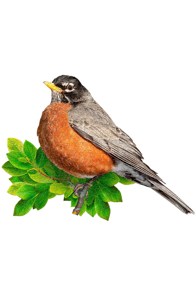 I Am Robin 300 Piece Jigsaw Puzzle Bird Shaped Puzzle, 25X19", Alternate, color, Multicolored