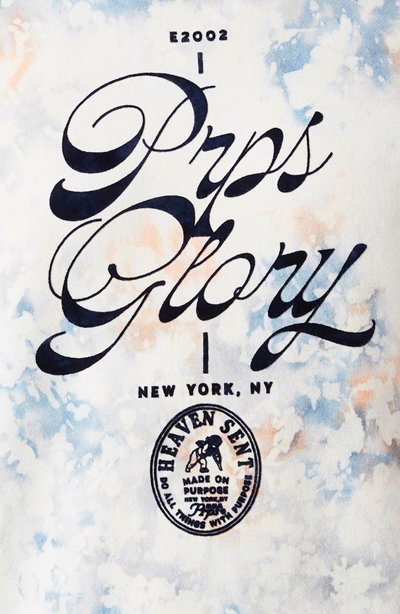 PRPS Sea Breeze Cotton Graphic Sweatshirt, Alternate, color, 