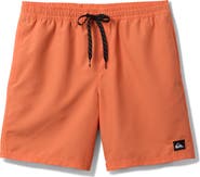 Quiksilver Everyday Volley 15-Inch Swim Trunks