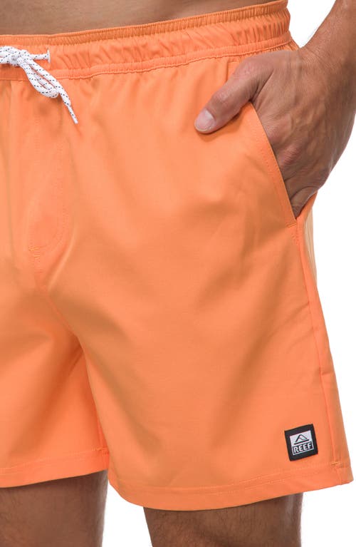 Reef Marzo Swim Trunks