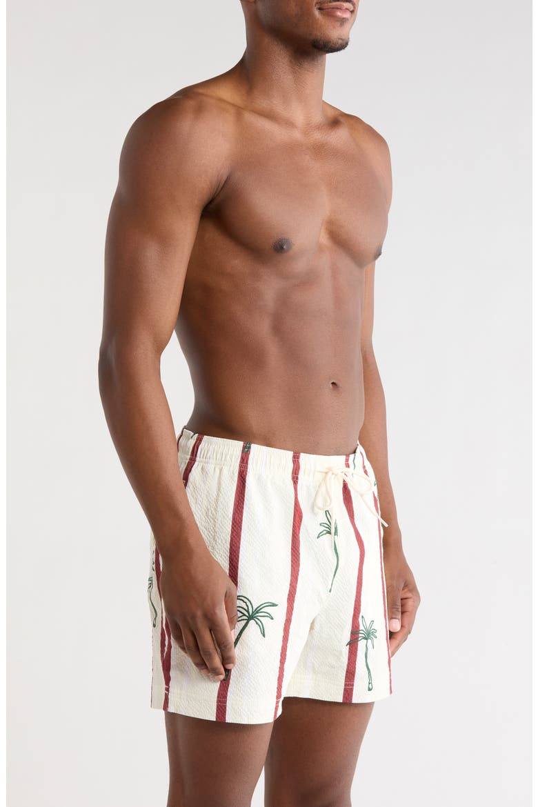 Palm Embroidered Stripe Swim Trunks, Alternate, color, GREEN/ WHITE