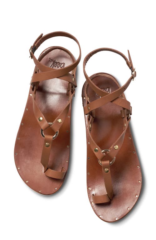 Beek Lark Toe Loop Sandal In Brown