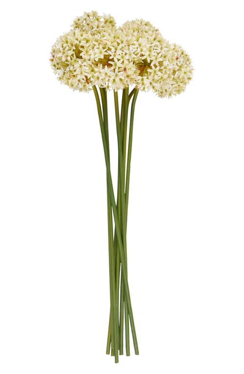Sonoma Sage Home Set Of 8 Tall Allium Artificial Stems In White