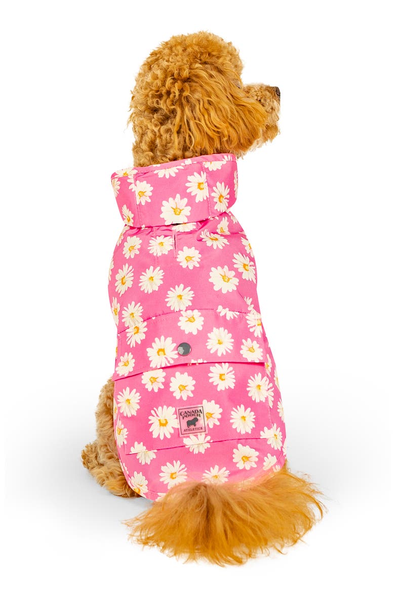 Pick Me Water Resistant Pet Poncho, Alternate, color, DAISY