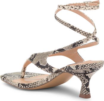 Rayger Ankle Strap Heel Sandal