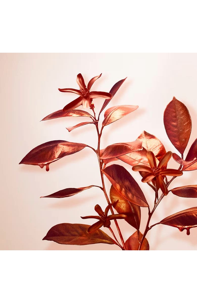 Tiffany & Co. Rose Gold Eau de Parfum Intense 3-Piece Gift Set $221 Value, Alternate, color, 