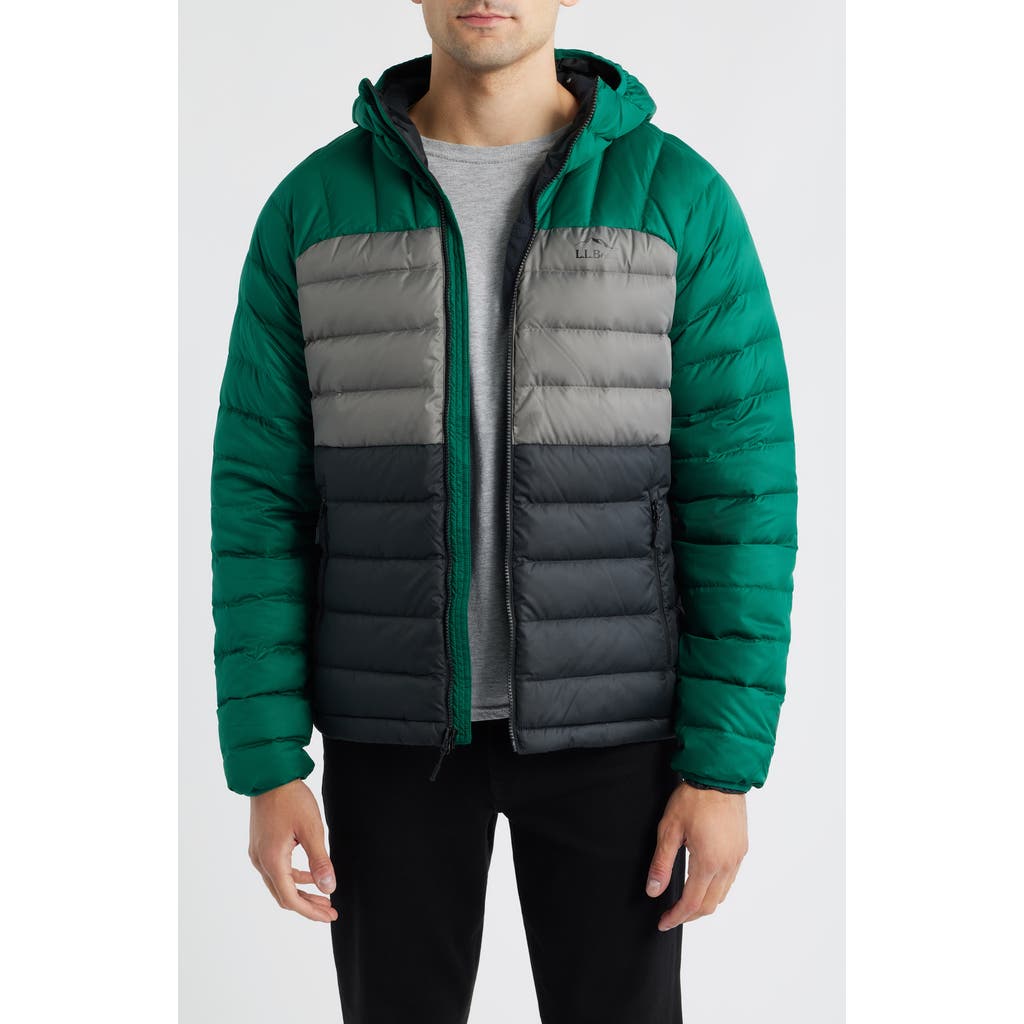 L.l.bean Beans 650 Fill Power Down Down Hooded Jacket In Green