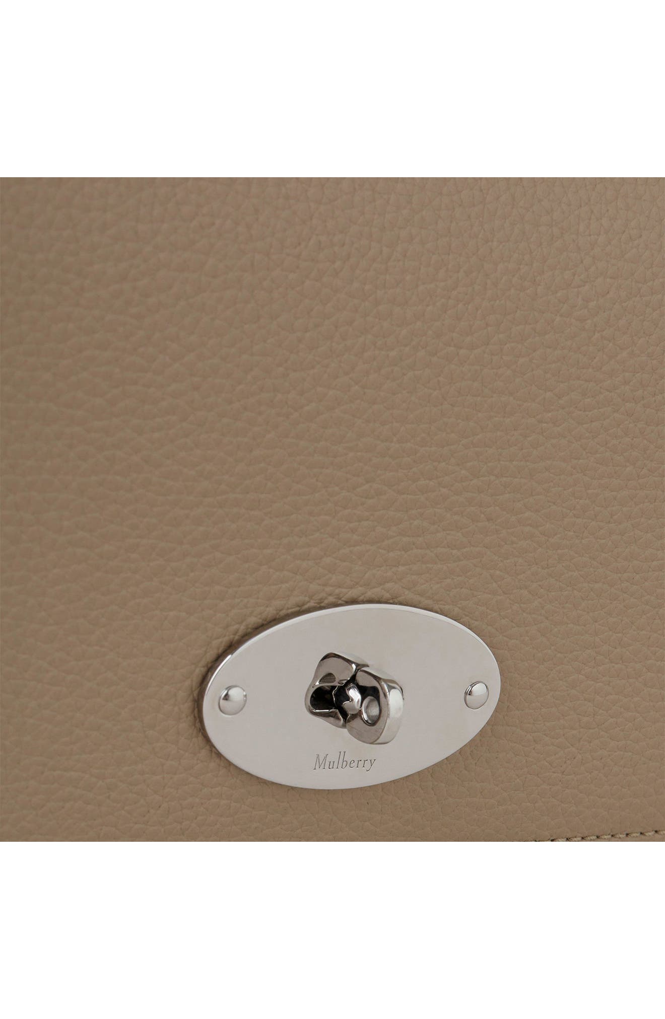 East/West Antony Leather Crossbody Bag, Alternate, color, DUNE