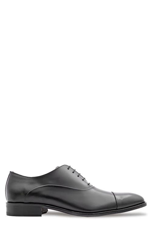 Mezlan Bocelli Cap Toe Oxford In Black