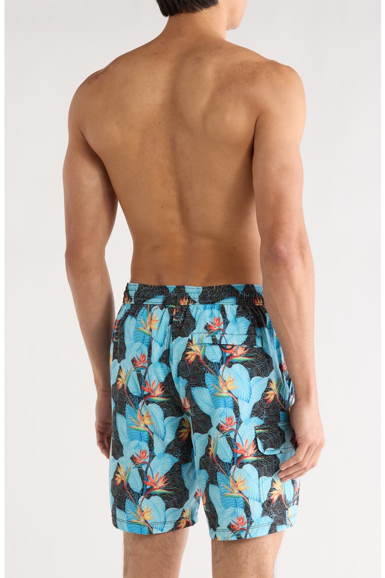 Baja Hidden Gems 8-Inch Board Shorts, Alternate, color, DEEP SPACE