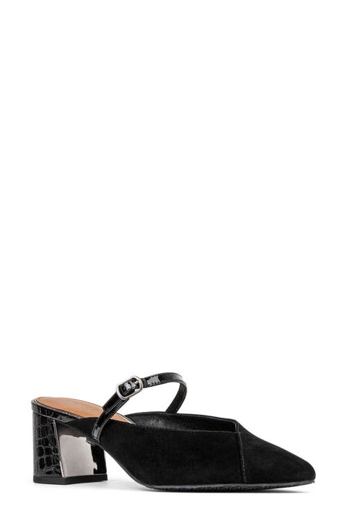 Donald Pliner Pointed Toe Mule in Black 