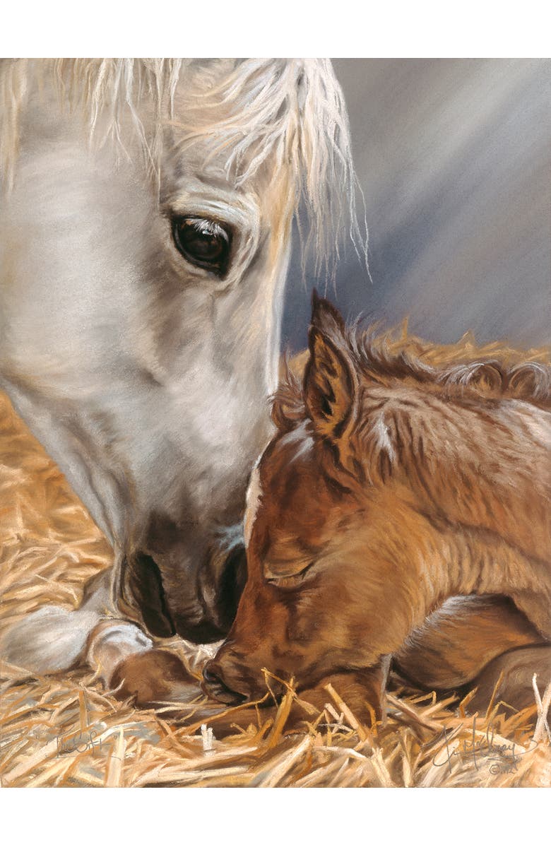 Sunsout Gift of Nature 500 piece Jigsaw Puzzle for Adults, Alternate, color, Multicolor