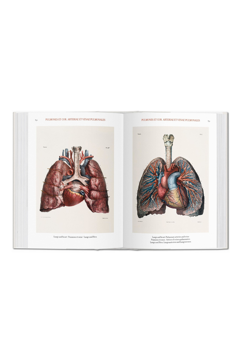 Bourgery Atlas of Human Anatomy and Surgery English French German Book, Alternate, color, multicolor