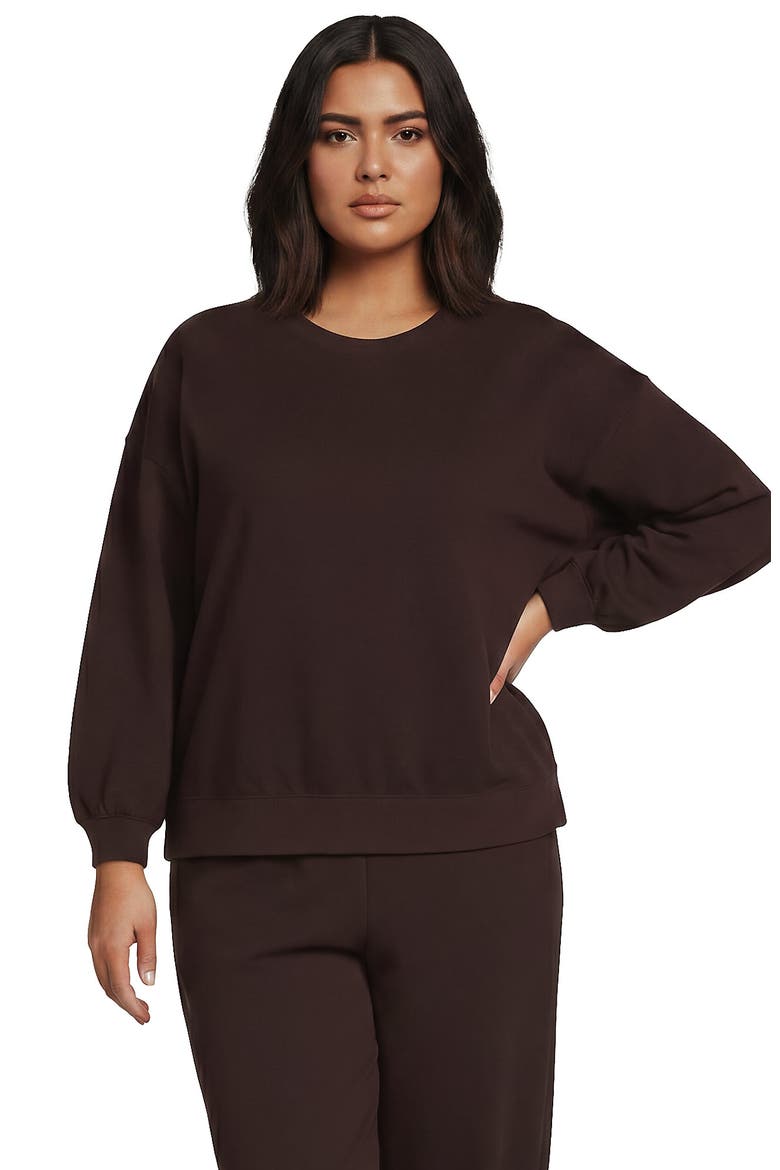Plus Size Relaxed Serious Sweats Long Sleeve Crewneck Sweatshirt, Main, color, Rich Seal Brown