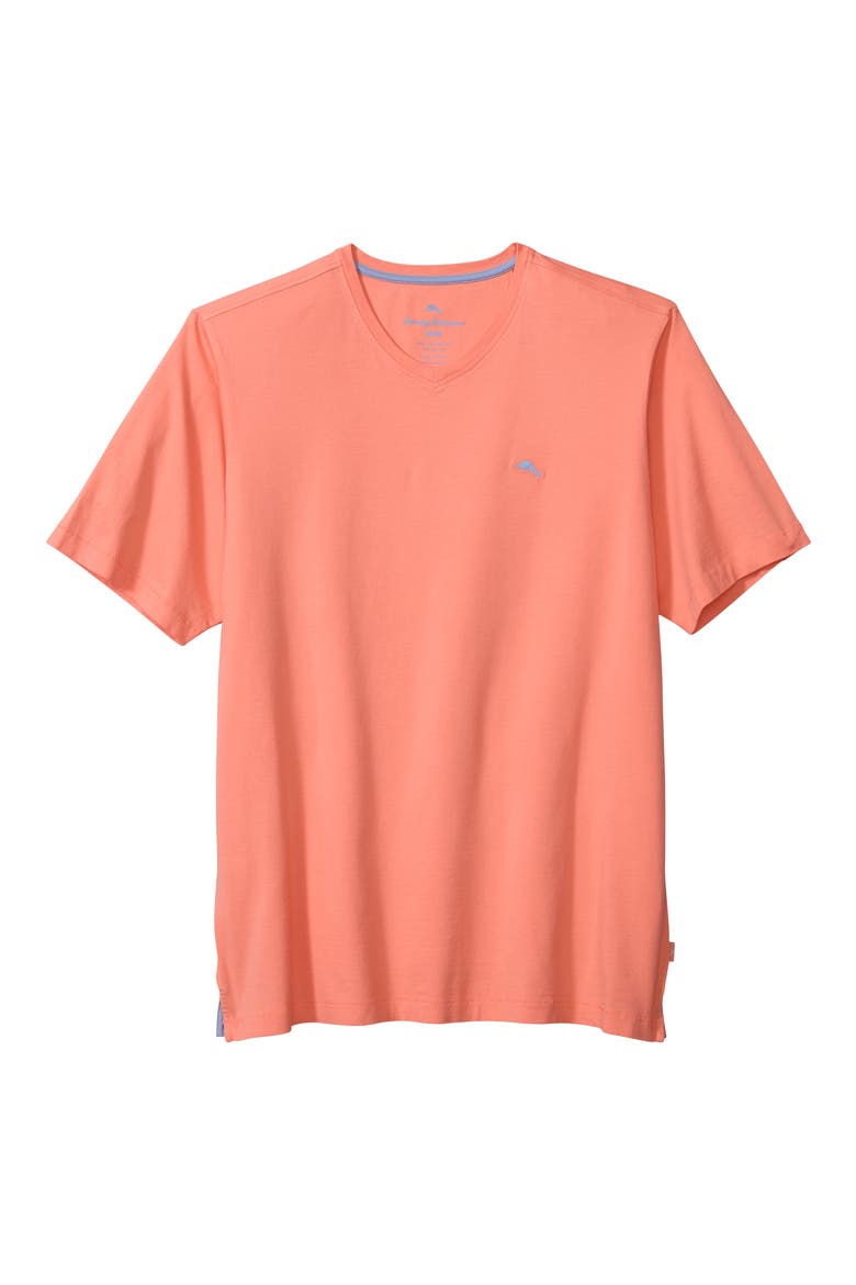 New Bali Skyline V-Neck T-Shirt, Alternate, color, DUBARRY CORAL